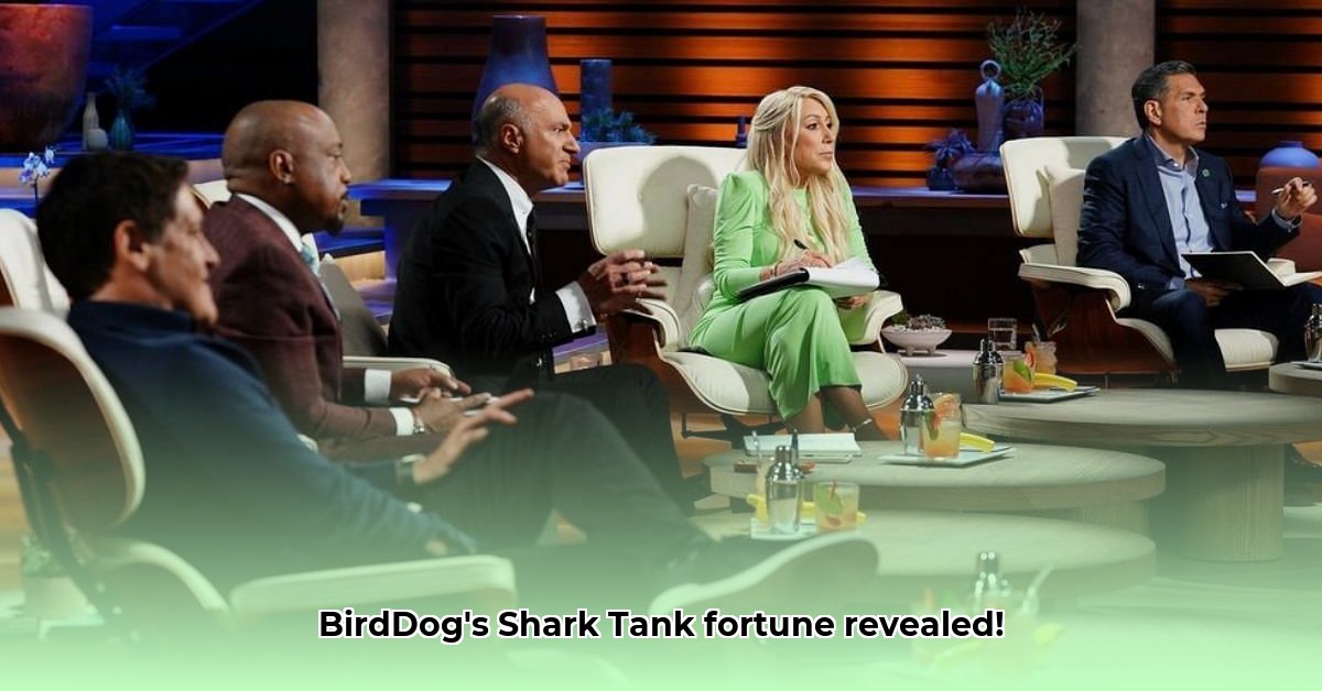 birddogs-shark-tank-net-worth